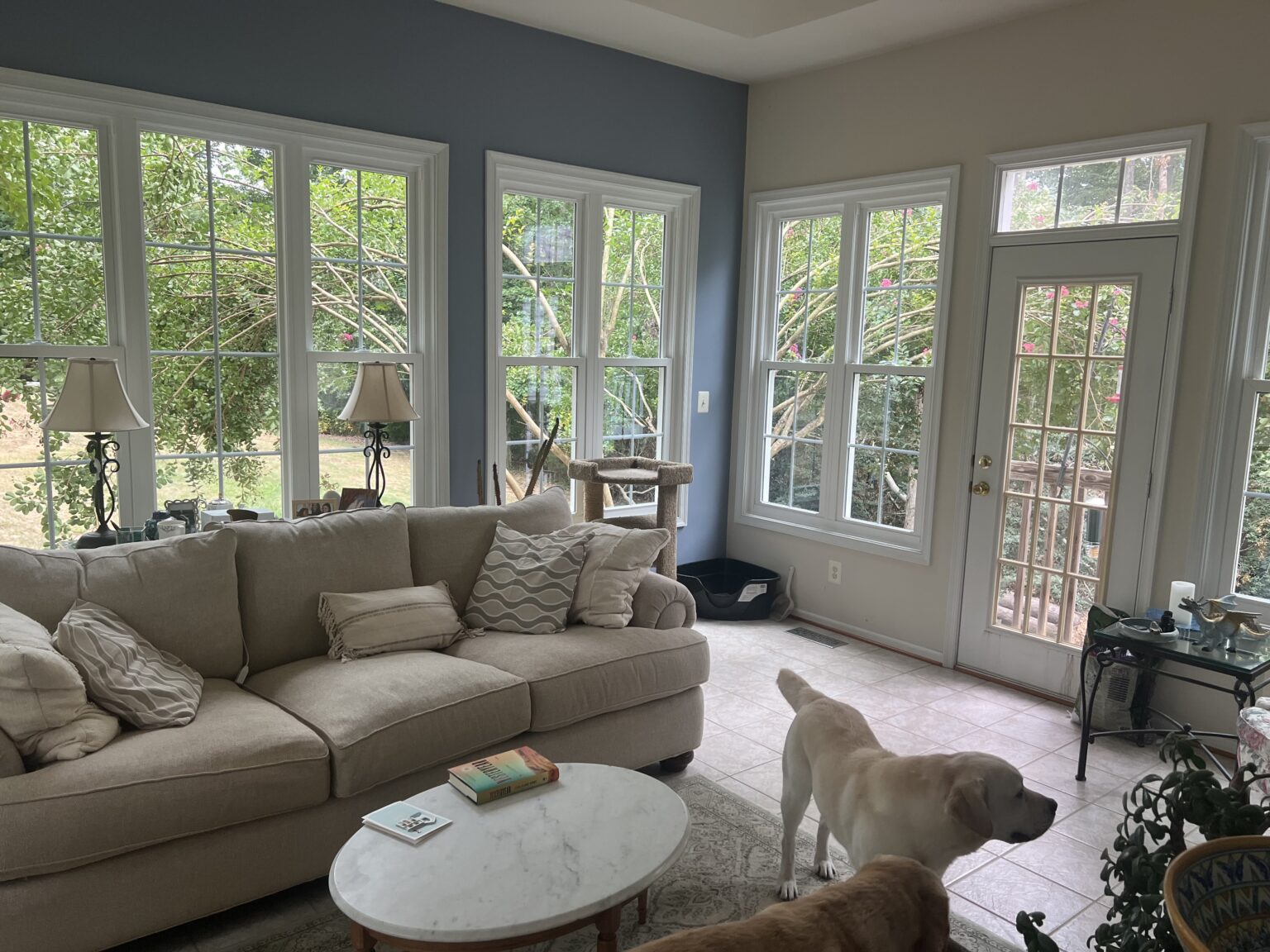 Bright living room with large white-framed windows and glass patio doors.